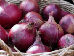 Jelang Nataru, Pemerintah Pastikan Ketersediaan Bawang Merah Aman