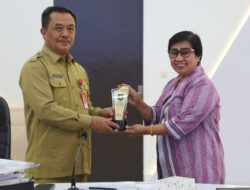 Beraudiensi, BSKDN Kemendagri Dorong BRIDA Sultra Lakukan Inovasi dengan Pendekatan Aglomerasi