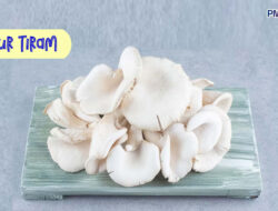 Selain Lezat, Ini Lima Manfaat Jamur Tiram untuk Kesehatan