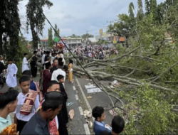 Pohon Beringin Tumbang di Masjid Agung Pemalang, Tiga Tewas dan 16 Luka-luka