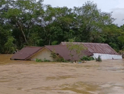 Banjir Parah Landa Kecamatan Segah, Fasilitas Umum dan Rumah Warga Rusak Berat