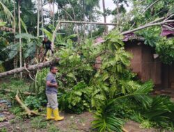 BNPB Tangani Karhutla, Banjir, dan Tanah Longsor di Sejumlah Wilayah Indonesia