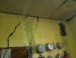 Gempa Probolinggo dan Dua Karhutla Terjadi dalam Sehari, BNPB Imbau Masyarakat Tetap Waspada