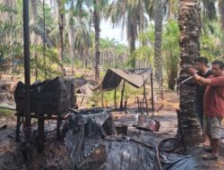 ESDM Resmi Legalkan Sumur Minyak Rakyat, Pelaku UMKM Wajib Siapkan Modal Miliaran