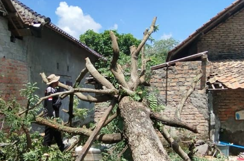 Peristiwa angin puting beliuna yang melanda wilayah Kabupaten Ogan Komering Ulu, Sumatra Selatan, Kamis (21/8). Sumber foto : BPBD Kabupaten Ogan Komering Ulu