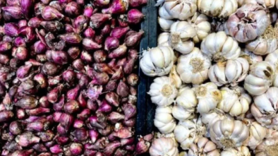 Lampaui Harga Acuan, BPS Catat Rata-rata Harga Bawang Putih Tembus Rp39.810 per Kilogram