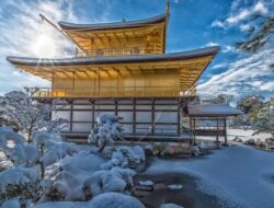 Berikut 10 Fakta Unik di Jepang yang Jarang Diketahui Orang