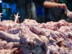 Mentan Amran Minta Polisi Tindak Penahan Stok, Harga Pangan Wajib Sesuai Harga Eceran Tertinggi (HET)v