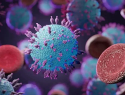 Pemerintah Kanada Gandeng WHO Tangani Kasus Wabah Hantavirus di Kapal Pesiar MV Hondius